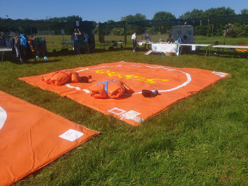 Jeu de Sumo – Image 2