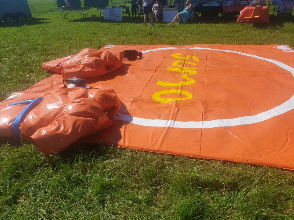 Jeu de Sumo